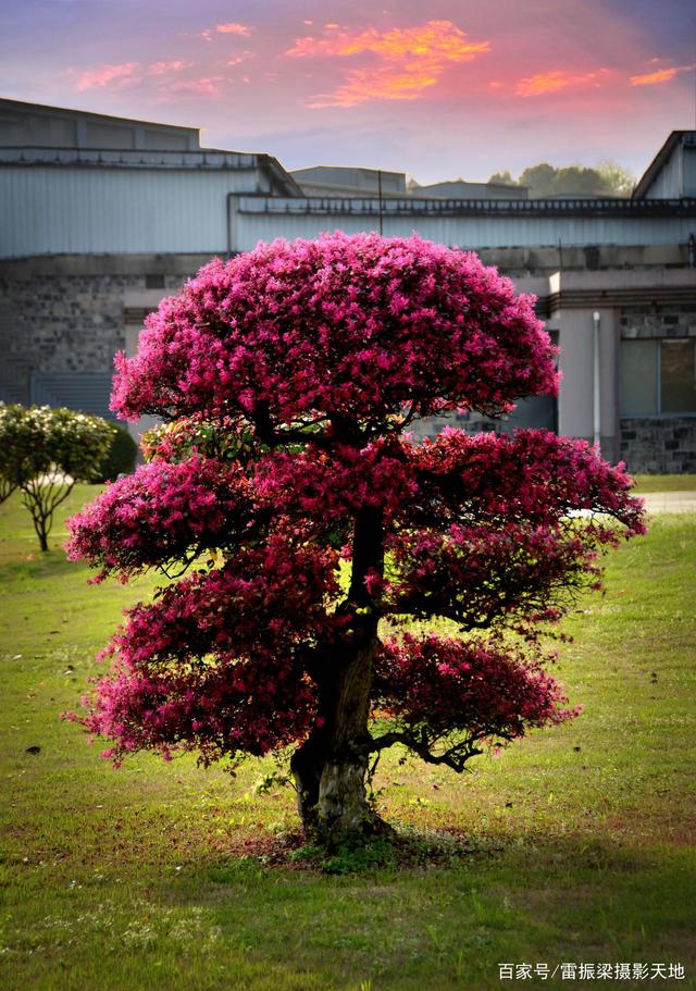 湘窖生态文化酿酒城春暖花开景美如画，恰是春游赏花观景好去处
