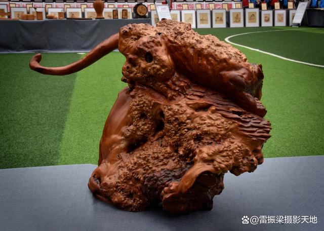 邵阳根雕：杨石生、刘完菊夫妇根雕非遗作品自成一派 独具特色