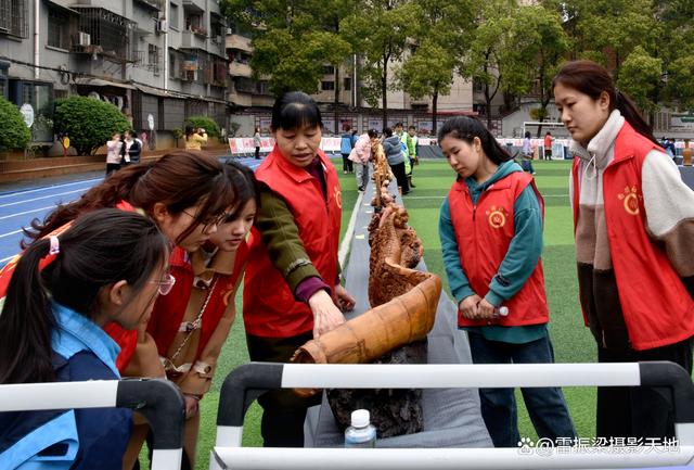 邵阳根雕：杨石生、刘完菊夫妇根雕非遗作品自成一派 独具特色