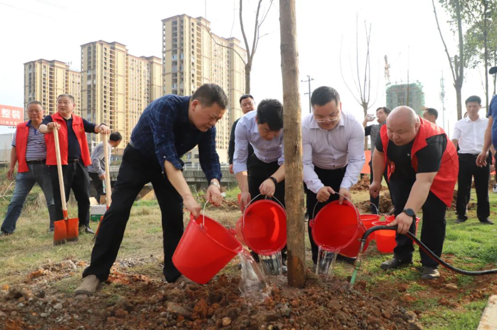 双清区开展义务植树活动 为双清区生态建设再添新绿_邵商网